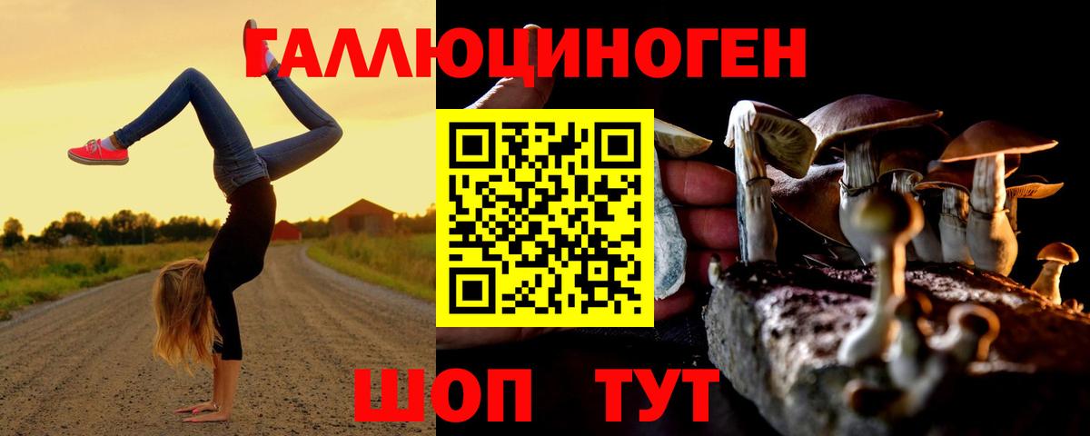 Псилоцибиновые грибы Magic Shrooms Городец