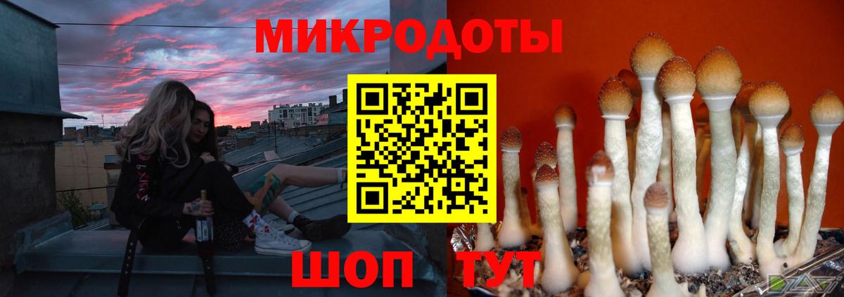 Городец  Галлюциногенные грибы Psilocybe  Вход с VPN 